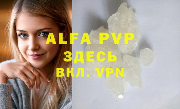 гидра Инта