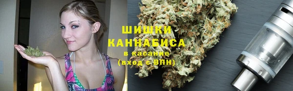 ALPHA PVP Инсар
