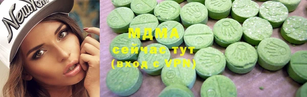 гидра Инта