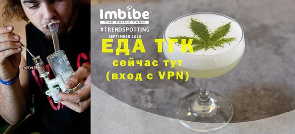 гидра Инта