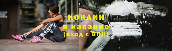 гидра Инта
