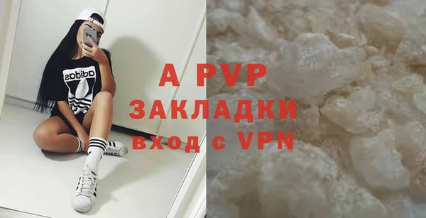гидра Инта