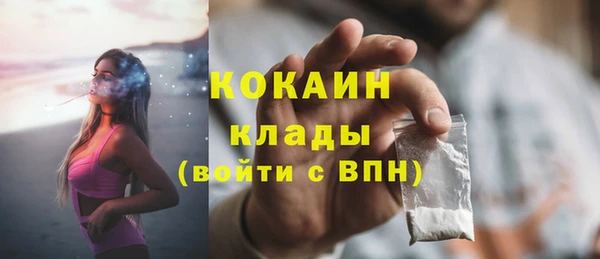 гидра Инта