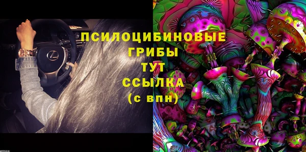 круглые Иннополис