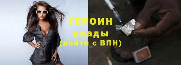 гидра Инта