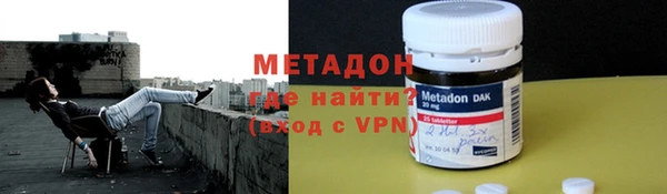 гидра Инта