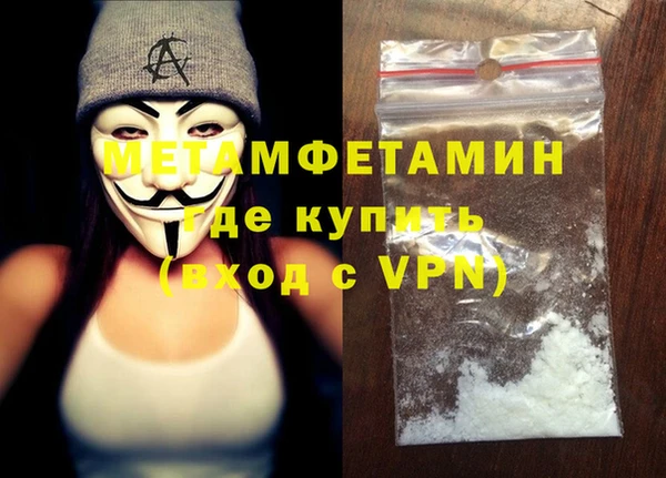 гидра Инта