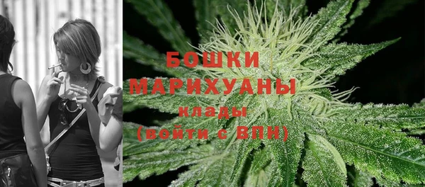 ALPHA PVP Инсар