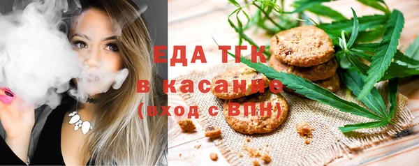 гидра Инта