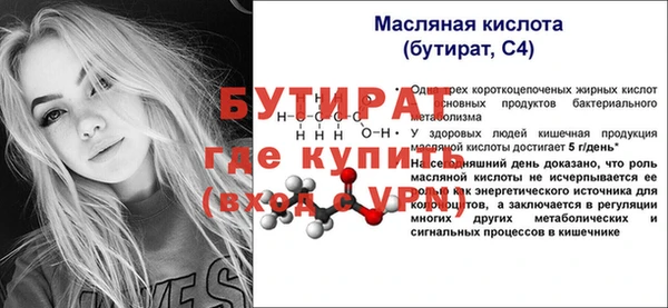 гидра Инта