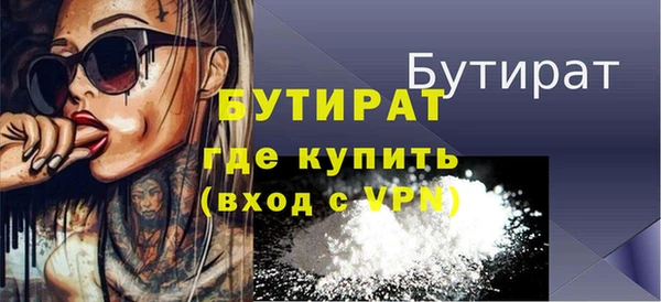 гидра Инта