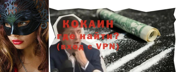 гидра Инта