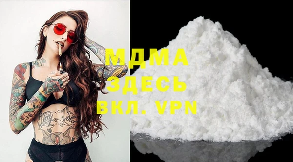 гидра Инта