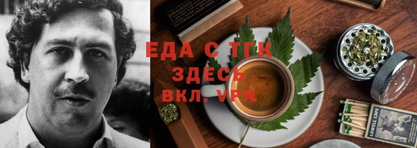 гидра Инта