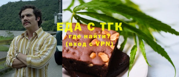 гидра Инта